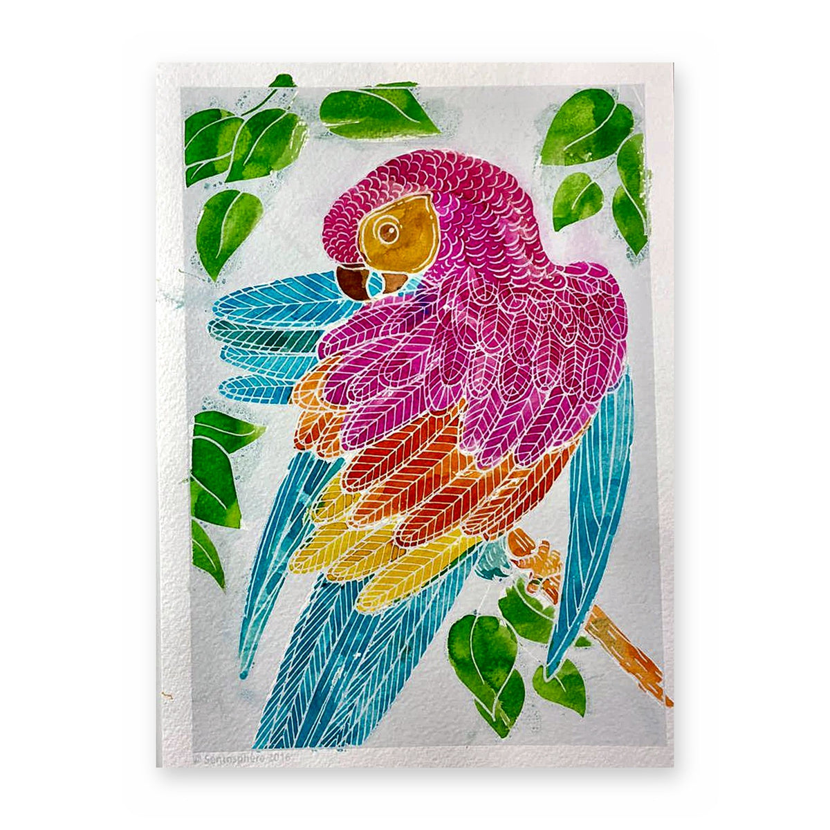 Rainbow Parrot